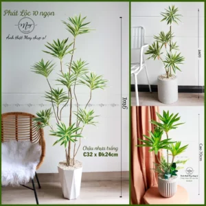 Cây giả, Cây Phát Lộc, Phát Tài giả cao cấp trang trí nhà cửa